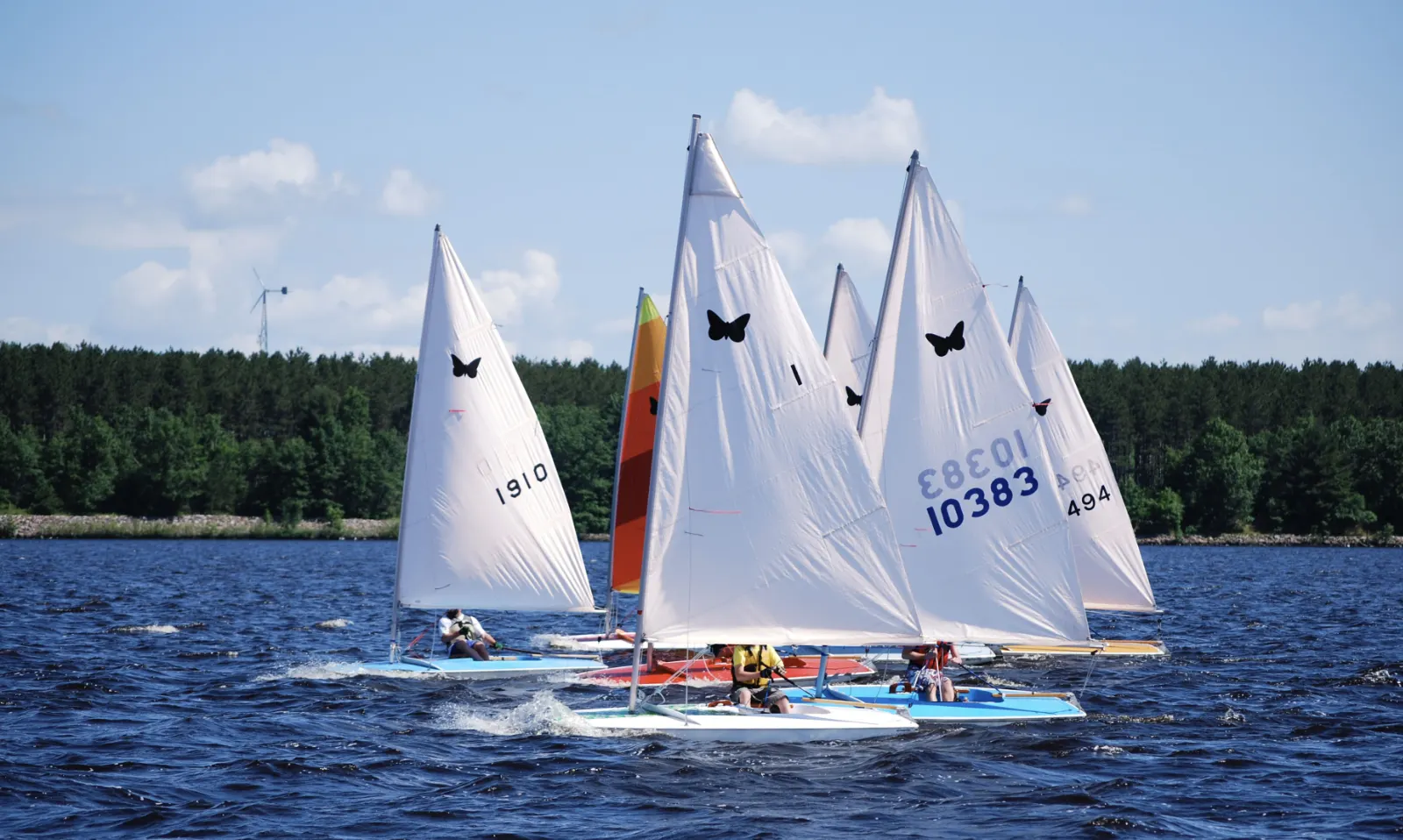 Nationals 2008-03 butterfly sailboats